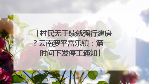 村民无手续就强行建房？云南罗平富乐镇：第一时间下发停工通知