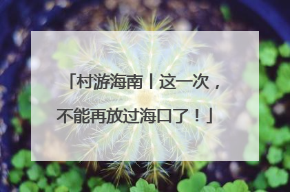 村游海南丨这一次，不能再放过海口了！