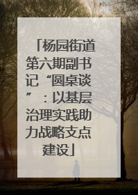 杨园街道第六期副书记“圆桌谈”：以基层治理实践助力战略支点建设