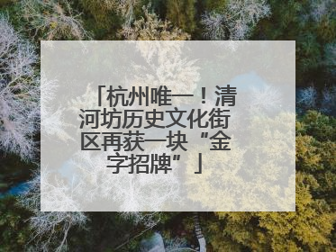 杭州唯一！清河坊历史文化街区再获一块“金字招牌”