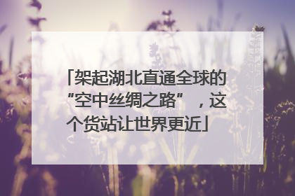 架起湖北直通全球的“空中丝绸之路”，这个货站让世界更近