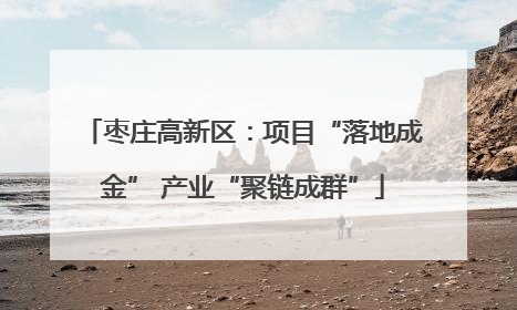 枣庄高新区：项目“落地成金” 产业“聚链成群”