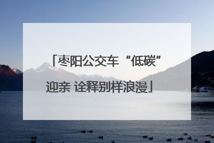 枣阳公交车“低碳”迎亲 诠释别样浪漫