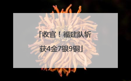 收官！福建队斩获4金7银9铜