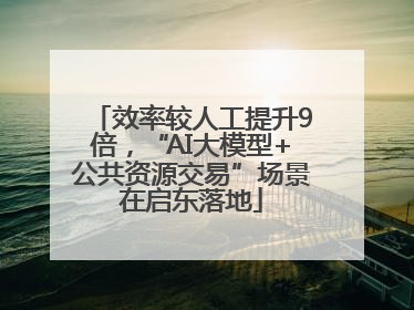 效率较人工提升9倍，“AI大模型+公共资源交易”场景在启东落地