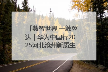 数智世界 一触冀达｜华为中国行2025河北沧州新质生产力峰会成功举办