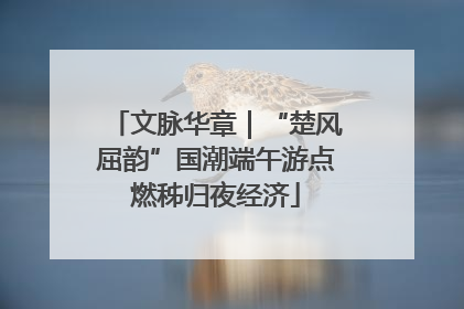 文脉华章｜“楚风屈韵”国潮端午游点燃秭归夜经济