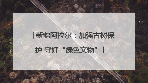 新疆阿拉尔：加强古树保护 守好“绿色文物”