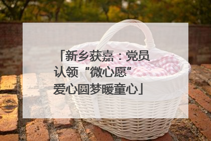 新乡获嘉：党员认领“微心愿” 爱心圆梦暖童心