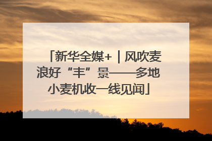 新华全媒+｜风吹麦浪好“丰”景——多地小麦机收一线见闻