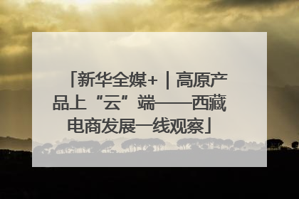 新华全媒+｜高原产品上“云”端——西藏电商发展一线观察