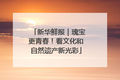 新华鲜报｜瑰宝更青春！看文化和自然遗产新光彩