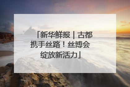 新华鲜报｜古都携手丝路！丝博会绽放新活力