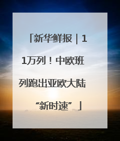 新华鲜报｜11万列！中欧班列跑出亚欧大陆“新时速”