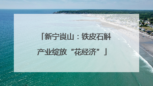 新宁崀山：铁皮石斛产业绽放“花经济”