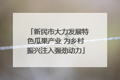 新民市大力发展特色瓜果产业 为乡村振兴注入强劲动力