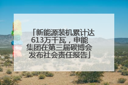 新能源装机累计达613万千瓦，申能集团在第三届碳博会发布社会责任报告