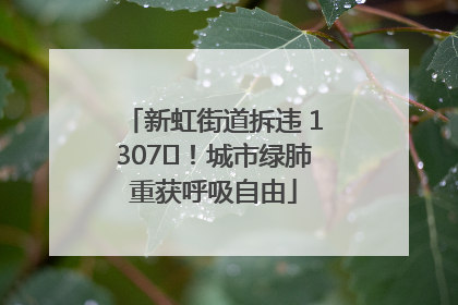 新虹街道拆违 1307㎡！城市绿肺重获呼吸自由