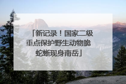 新记录！国家二级重点保护野生动物脆蛇蜥现身南岳