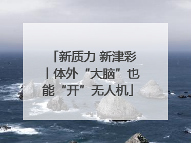 新质力 新津彩丨体外“大脑”也能“开”无人机