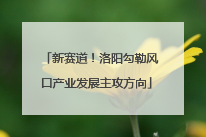 新赛道！洛阳勾勒风口产业发展主攻方向