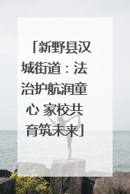 新野县汉城街道：法治护航润童心 家校共育筑未来