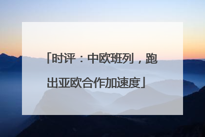 时评：中欧班列，跑出亚欧合作加速度