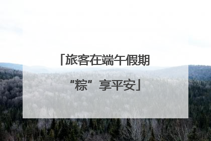 旅客在端午假期“粽”享平安