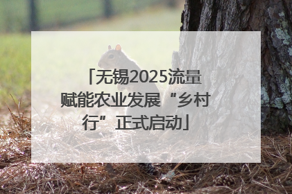 无锡2025流量赋能农业发展“乡村行”正式启动