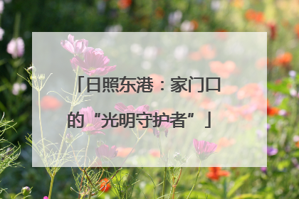 日照东港：家门口的“光明守护者”
