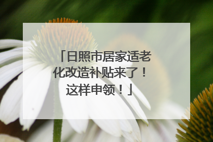 日照市居家适老化改造补贴来了！这样申领！