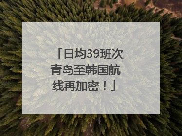 日均39班次 青岛至韩国航线再加密！