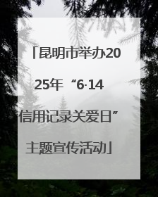 昆明市举办2025年“6·14信用记录关爱日”主题宣传活动