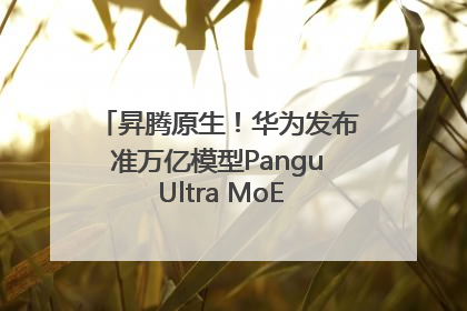 昇腾原生！华为发布准万亿模型Pangu Ultra MoE模型架构和训练细节
