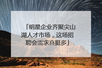 明星企业齐聚尖山湖人才市场，这场招聘会需求真挺多