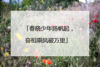 春晓少年扬帆起，奋楫乘风破万里