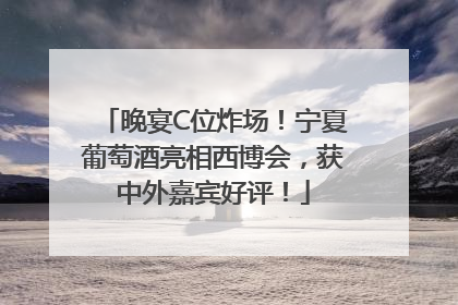 晚宴C位炸场！宁夏葡萄酒亮相西博会，获中外嘉宾好评！
