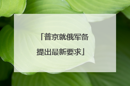 普京就俄军备提出最新要求