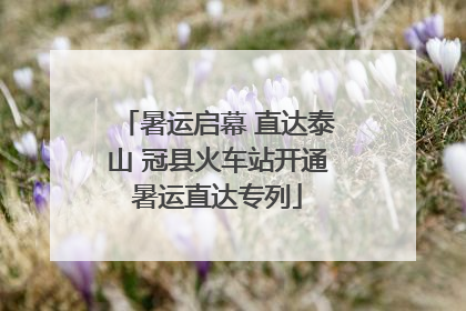 暑运启幕 直达泰山 冠县火车站开通暑运直达专列