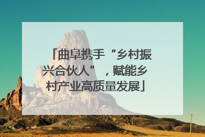 曲阜携手“乡村振兴合伙人”，赋能乡村产业高质量发展