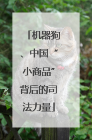 机器狗、中国“小商品”背后的司法力量