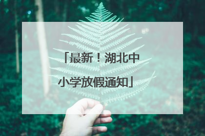 最新！湖北中小学放假通知