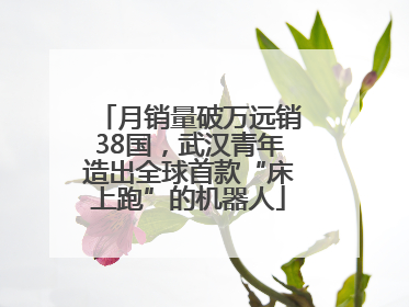月销量破万远销38国，武汉青年造出全球首款“床上跑”的机器人