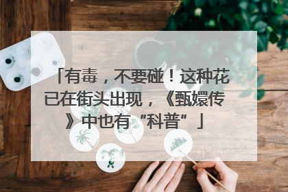 有毒，不要碰！这种花已在街头出现，《甄嬛传》中也有“科普”