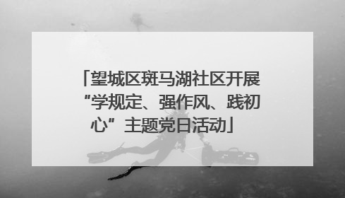 望城区斑马湖社区开展“学规定、强作风、践初心”主题党日活动