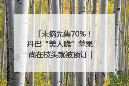 未摘先售70%！丹巴“美人脆”苹果尚在枝头就被预订｜长征路上看四川