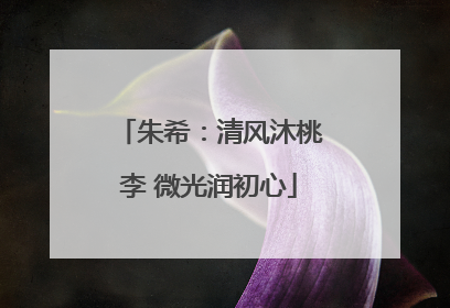 朱希：清风沐桃李 微光润初心