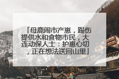 母鹿闹市产崽，踢伤提供水和食物市民，大连动保人士：护崽心切，正在想法送回山里