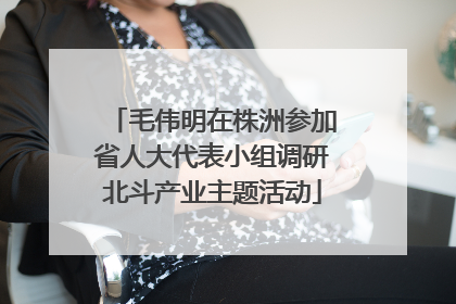 毛伟明在株洲参加省人大代表小组调研北斗产业主题活动