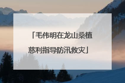 毛伟明在龙山桑植慈利指导防汛救灾